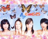 Cookies��ϱ�ֽ����ͼƬ