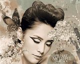 ����ͩ��ֽ����ͼƬ