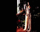 ��׿����ֽ����ͼƬ