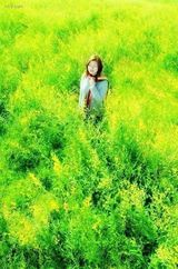 ������д��ͼƬ