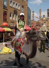 ������д��ͼƬ