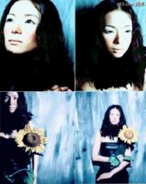 ������д��ͼƬ