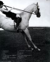 ������д��ͼƬ