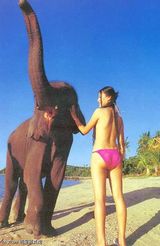 �����д��ͼƬ