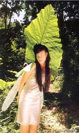 �����д��ͼƬ