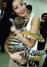 ����д��ͼƬ