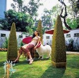 ����д��ͼƬ