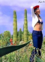 ������д��ͼƬ