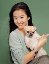 �����д��ͼƬ