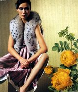 �޽���д��ͼƬ