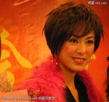 ��ѩд��ͼƬ