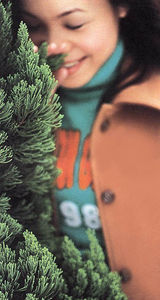 ���ѻ�д��ͼƬ