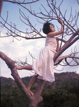 ����д��ͼƬ