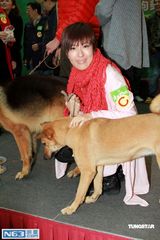 ��ʫӽд��ͼƬ