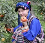 ����MMд��ͼƬ