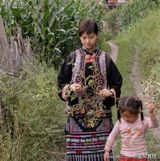 ����MMд��ͼƬ