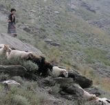 ����MMд��ͼƬ