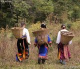 ����MMд��ͼƬ