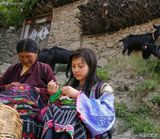 ����MMд��ͼƬ