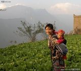 ����MMд��ͼƬ