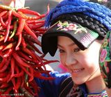 ����MMд��ͼƬ