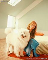 Ϳ����д��ͼƬ