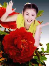 ��˼ܲд��ͼƬ