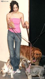 �����д��ͼƬ