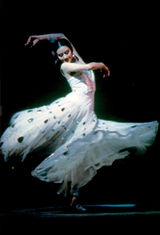 ����Ƽд��ͼƬ