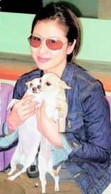 Ҷٻ��д��ͼƬ