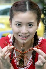 YOYO(�����)д��ͼƬ