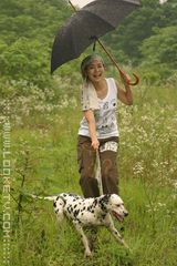 YOYO(�����)д��ͼƬ