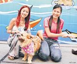 ԭ���iд��ͼƬ