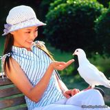 ֣����д��ͼƬ