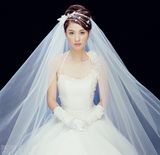 ֣ϣ��д��ͼƬ