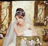 ֣ϣ��д��ͼƬ