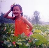 ���īhд��ͼƬ