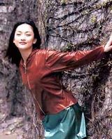 ��Ѹд��ͼƬ