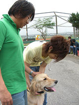 ����д��ͼƬ