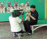 �齣��д��ͼƬ