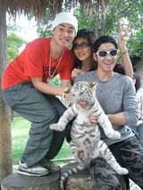 �Nicд��ͼƬ