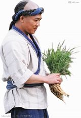 ������д��ͼƬ