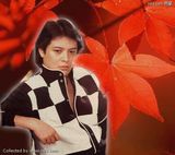 ������д��ͼƬ