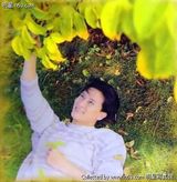 ������д��ͼƬ