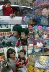 ������д��ͼƬ