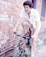 ������д��ͼƬ