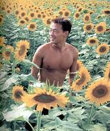 ��ϲд��ͼƬ