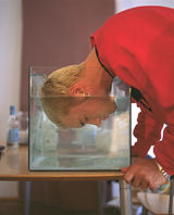 ������ķд��ͼƬ