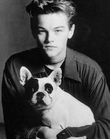 �����ɶࡤ�Ͽ������д��ͼƬ