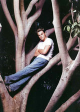 �����ɶࡤ�Ͽ������д��ͼƬ